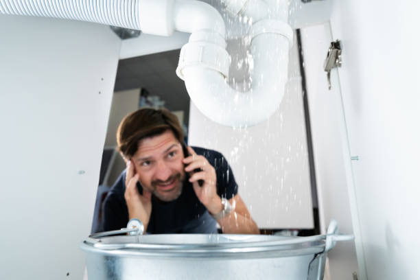 Best Gas Line Repair  in Auxvasse, MO